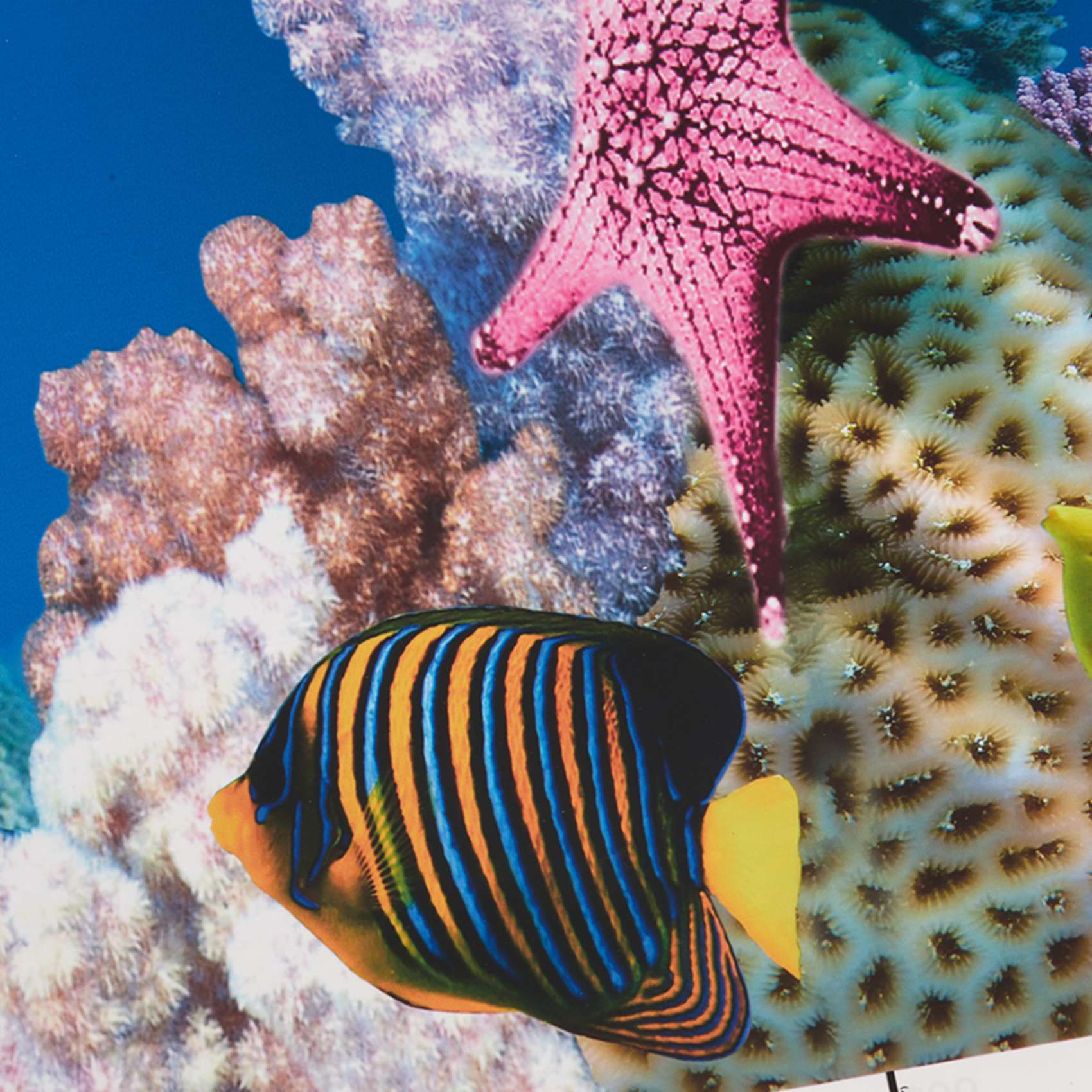 Aquarium Fish Wallpaper - Papel de Fondo para Acuario ABWR,