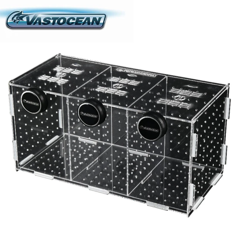 Box Fish In Aquarium - Vastapean-caja de aislamiento de eclosión acrílica