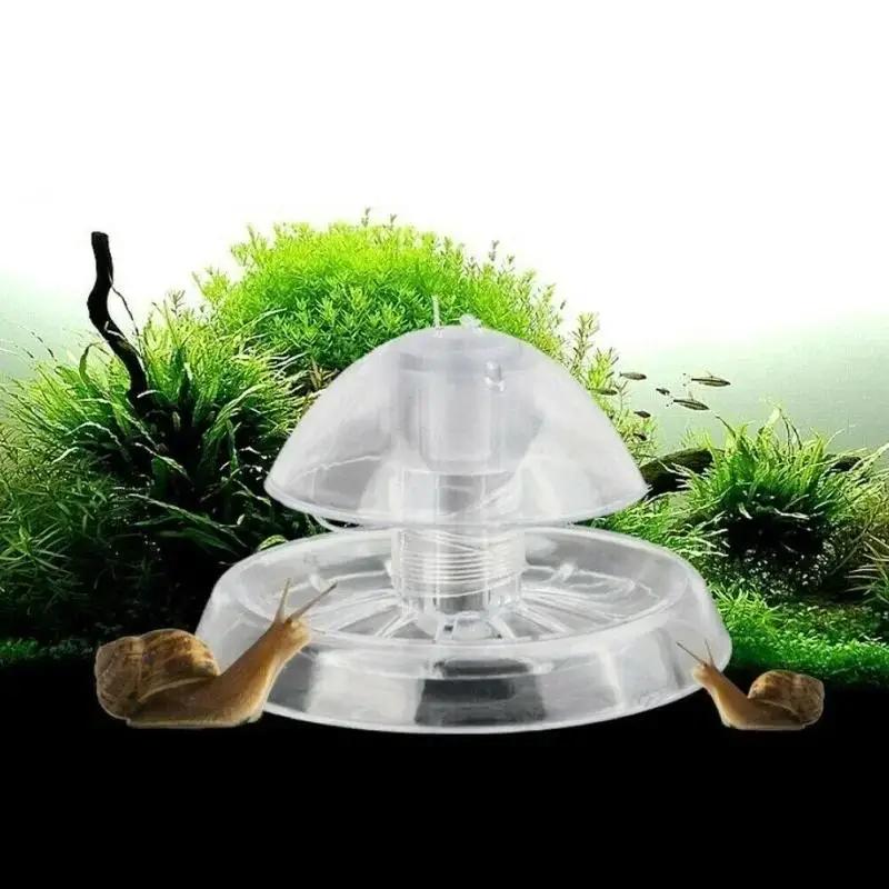 Box Fish In Aquarium - Nueva Trampa para Caracoles de Plástico