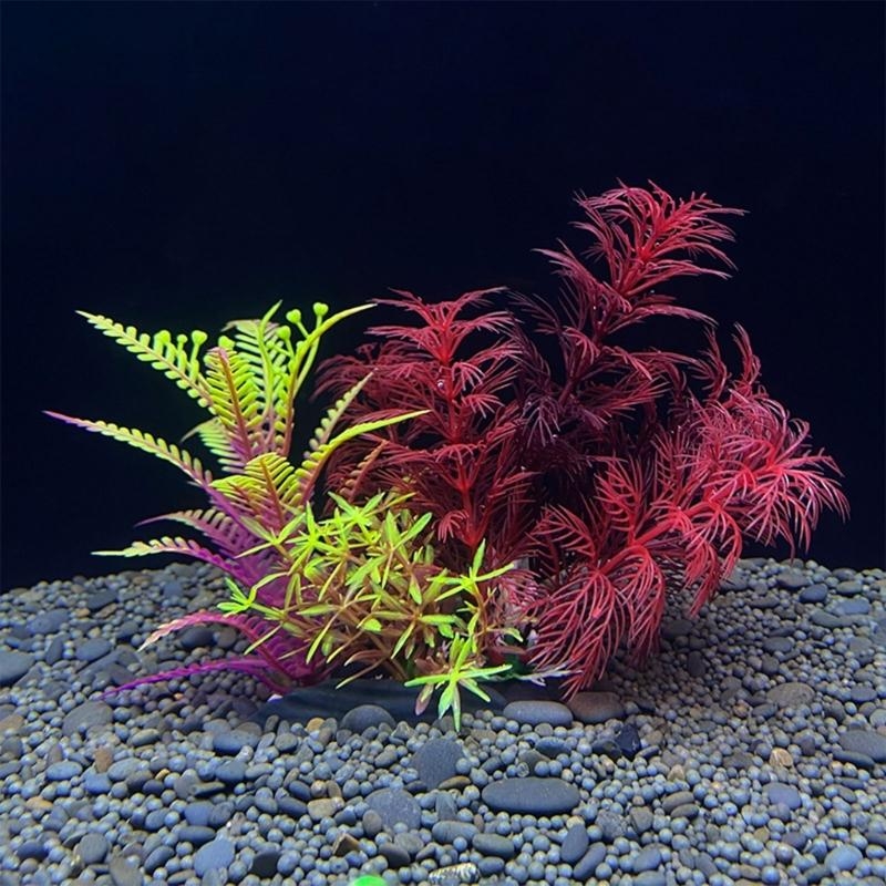 Aquarium Fish Sale - Decoración de acuario Artificial, planta, decoración