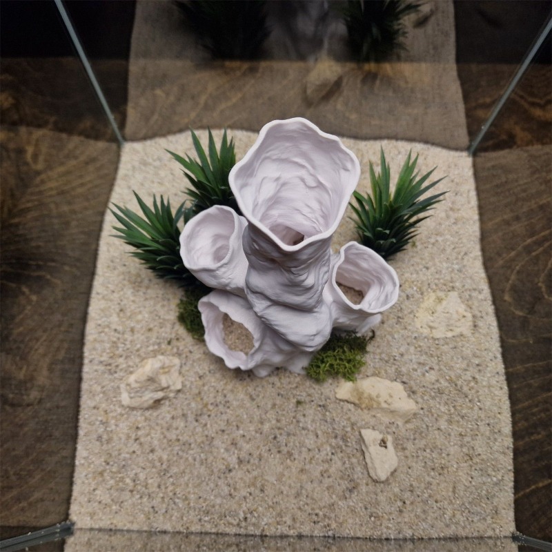 Aquarium Fish Sale - Oferta Especial: Decoración Impresa en 3D