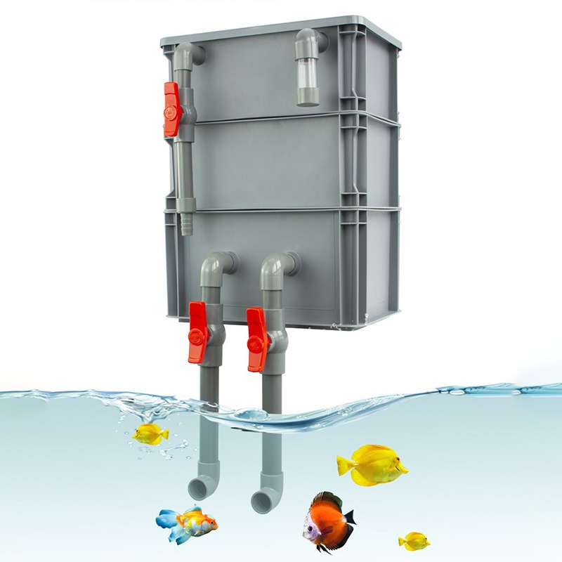 Box Fish In Aquarium - Filtro Externo de Goteo DIY para
