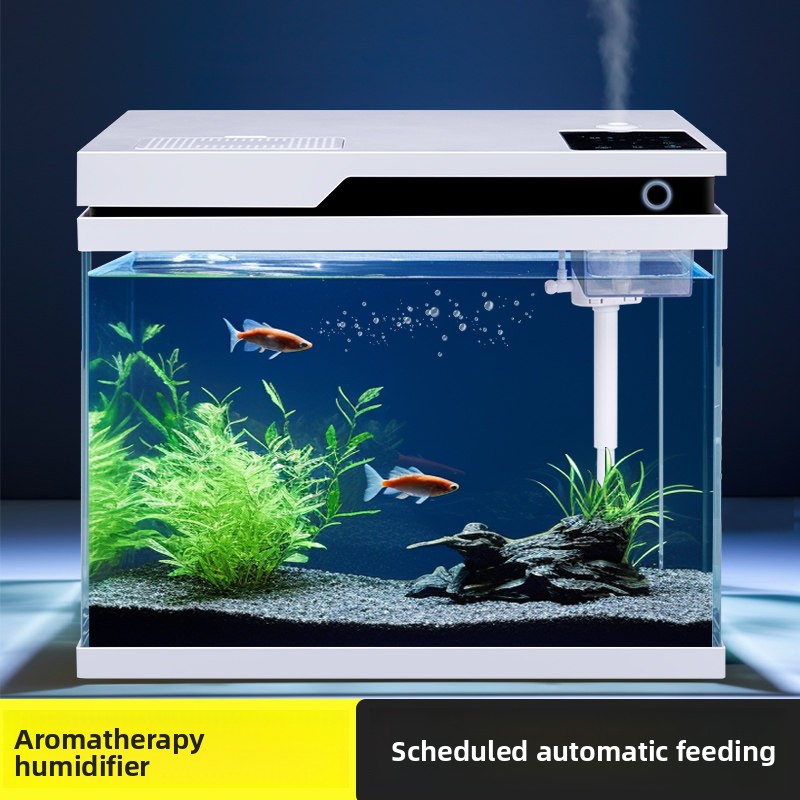 All Fish In Aquarium - Acuario de Vidrio Transparente con Alimentación