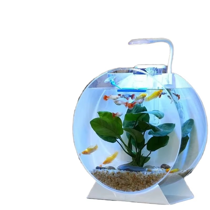 Aquarium Fish Sale - Gran oferta, peceras acrílicas ecológicas modernas,