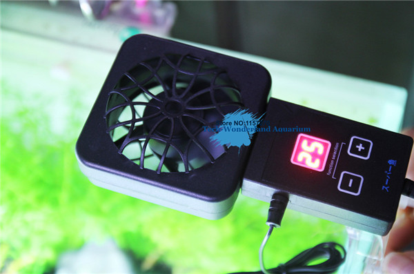 Aquarium Fish Store - Mini nano clip para colgar en