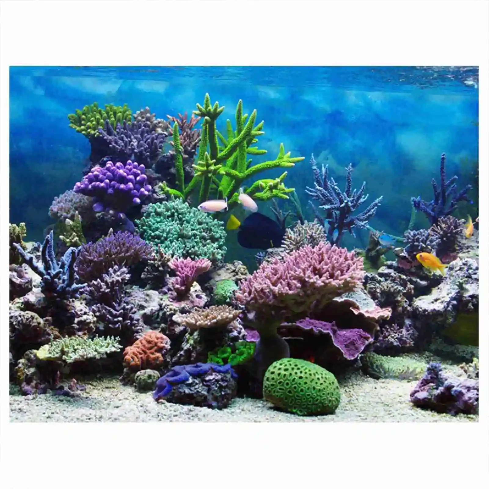 Aquarium Fish Wallpaper - Póster de paisaje de acuario 3D,