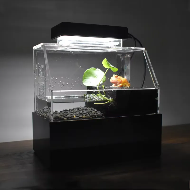 Aquarium Fish Sale - Relaxlines Acuario de Escritorio Personalizado, Mini