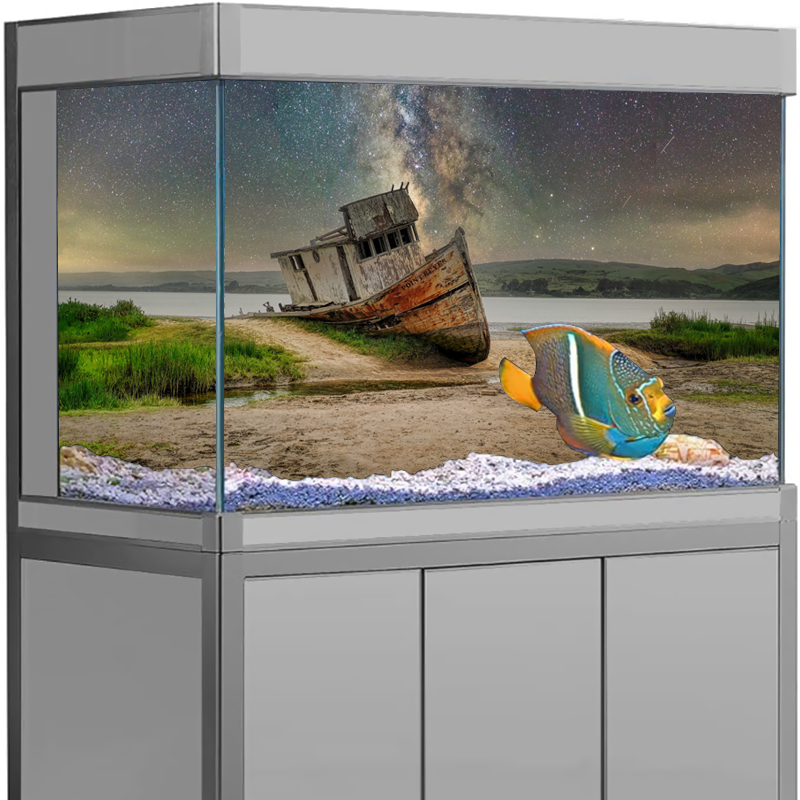 Pegatina de fondo de acuario,  - Aquarium Fish Wallpaper reseña y precio