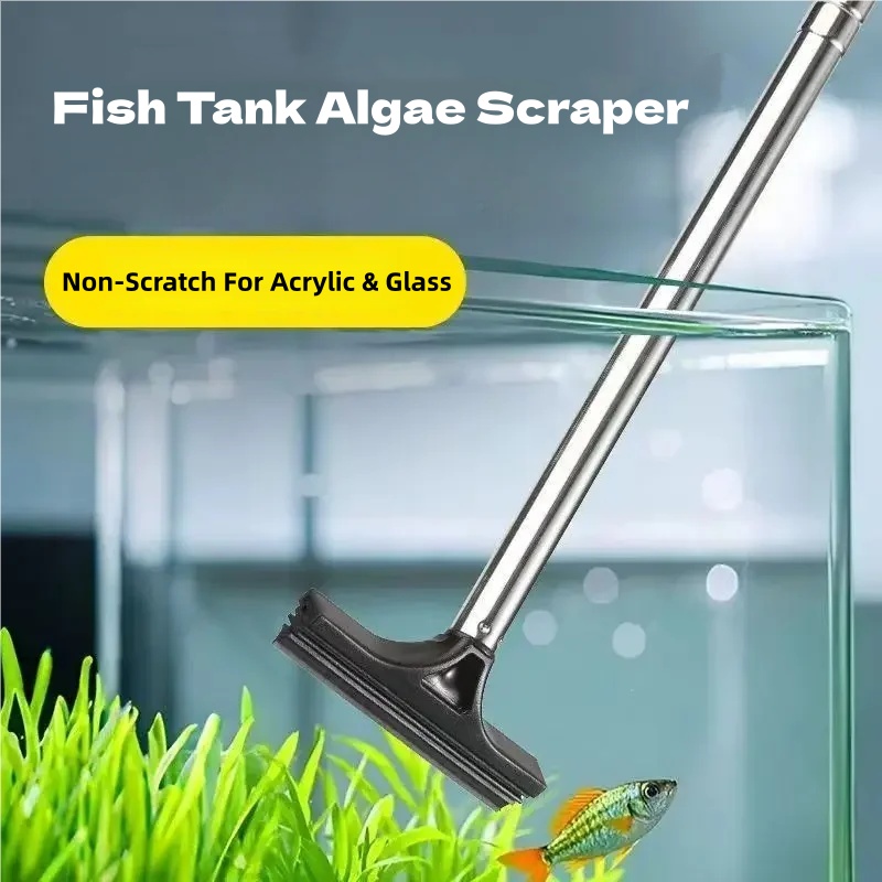 Raspador Telescópico de Algas  - Algae Scraper Blade reseña y precio