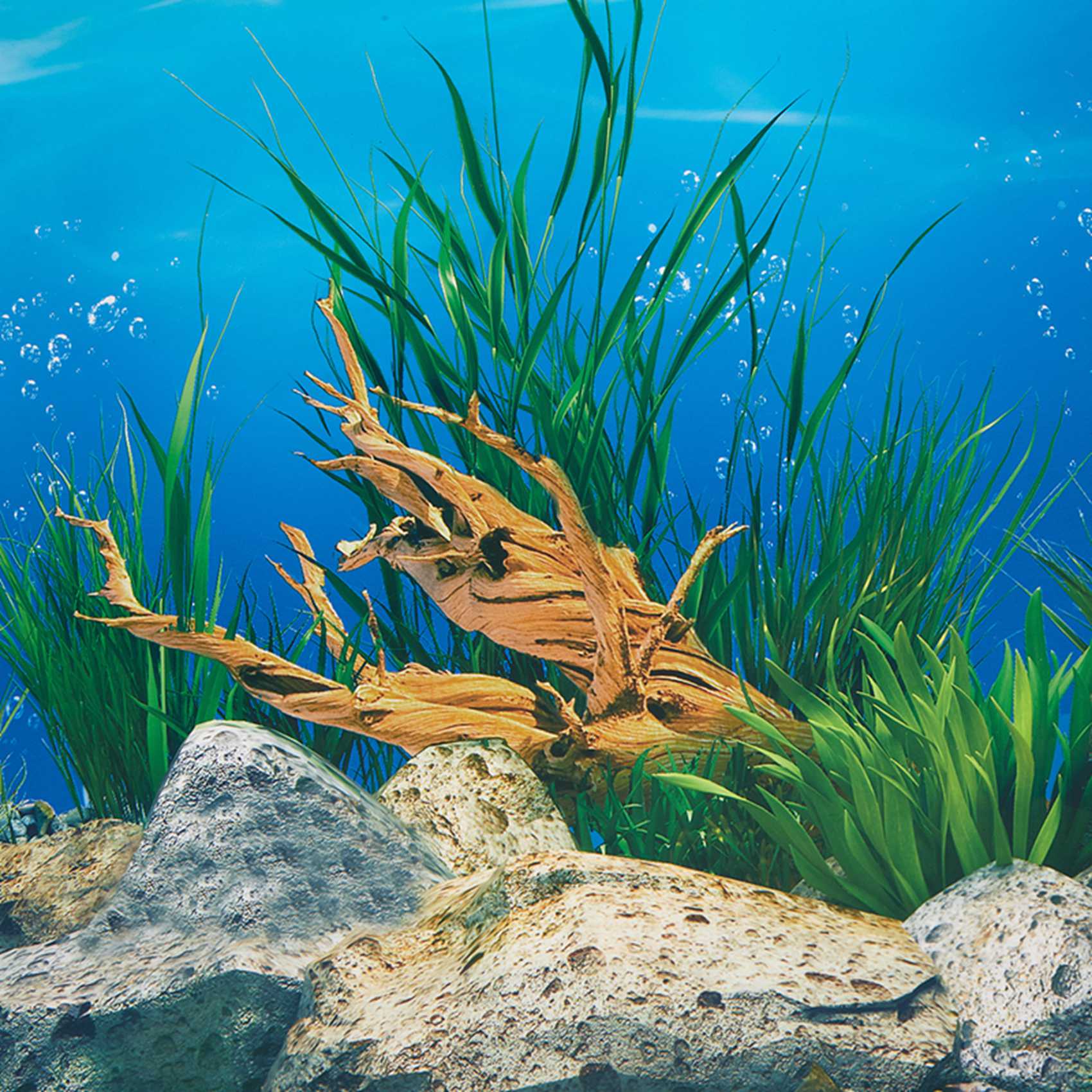 Papel de Fondo para Acuario AB - Aquarium Fish Wallpaper reseña y precio