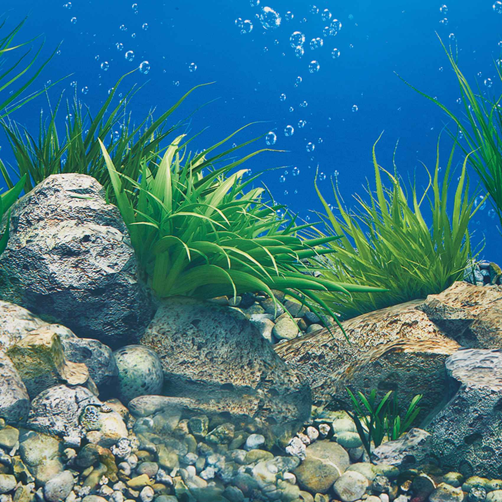 Papel de Fondo para Acuario AB - Aquarium Fish Wallpaper reseña y precio
