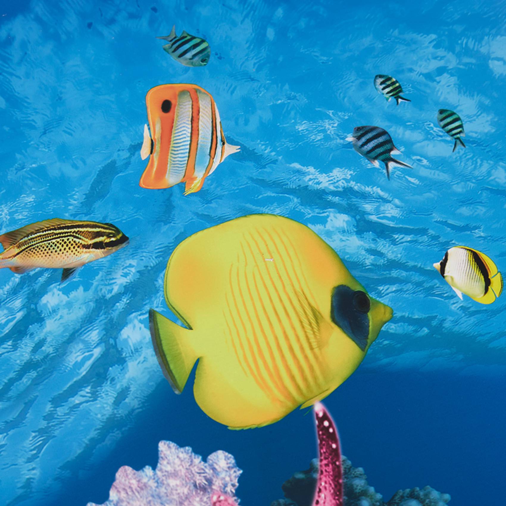 Papel de Fondo para Acuario AB - Aquarium Fish Wallpaper reseña y precio