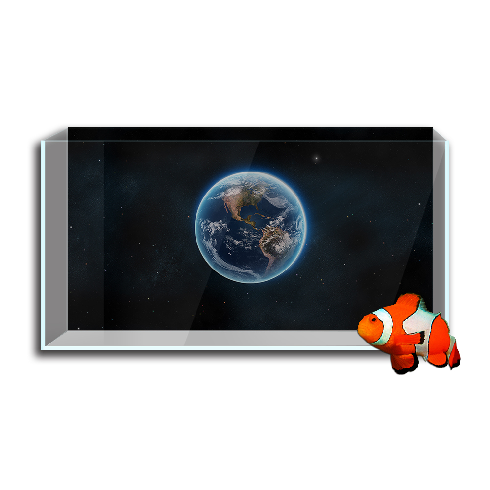 Pegatina de fondo para pecera  - Aquarium Fish Wallpaper reseña y precio
