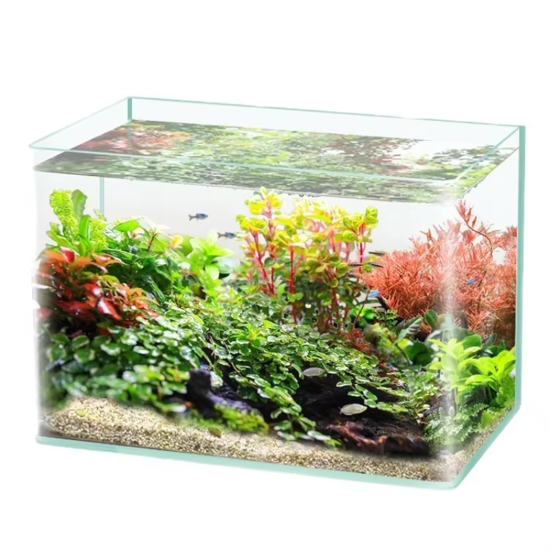 Caja de embalaje para acuario  - Box Fish In Aquarium reseña y precio