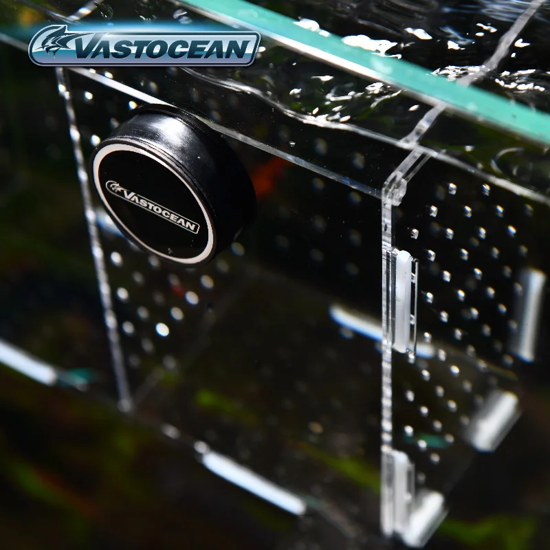 Vastapean-caja de aislamiento  - Box Fish In Aquarium reseña y precio