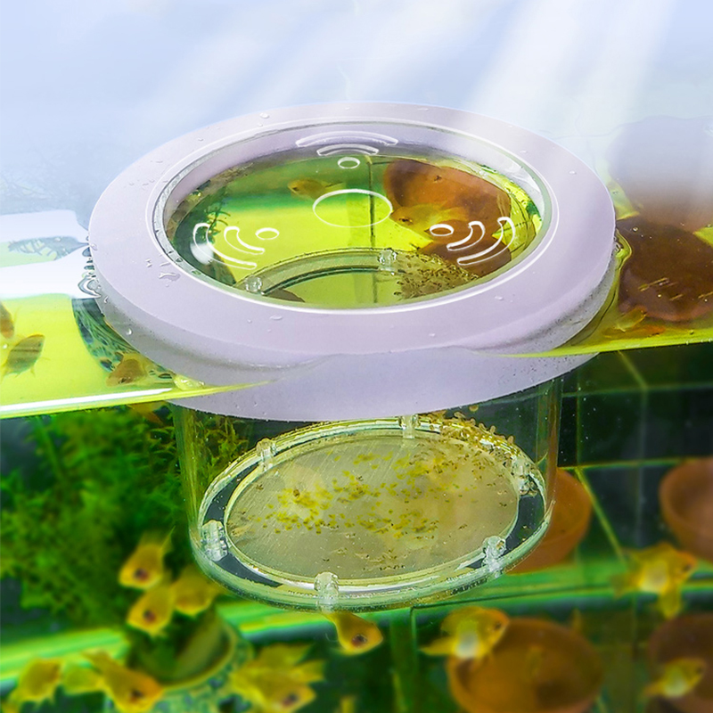 Caja de aislamiento de cría de - Box Fish In Aquarium reseña y precio
