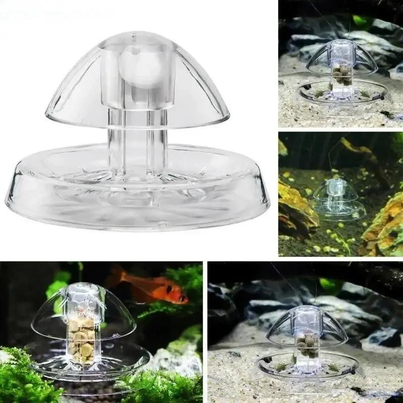 Nueva Trampa para Caracoles de - Box Fish In Aquarium reseña y precio