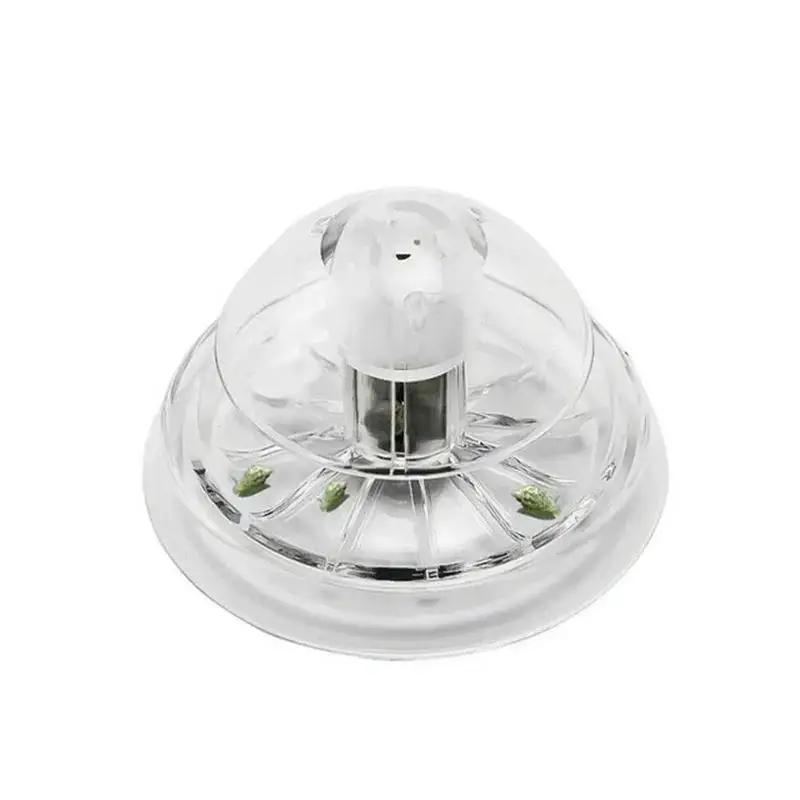 Nueva Trampa para Caracoles de - Box Fish In Aquarium reseña y precio