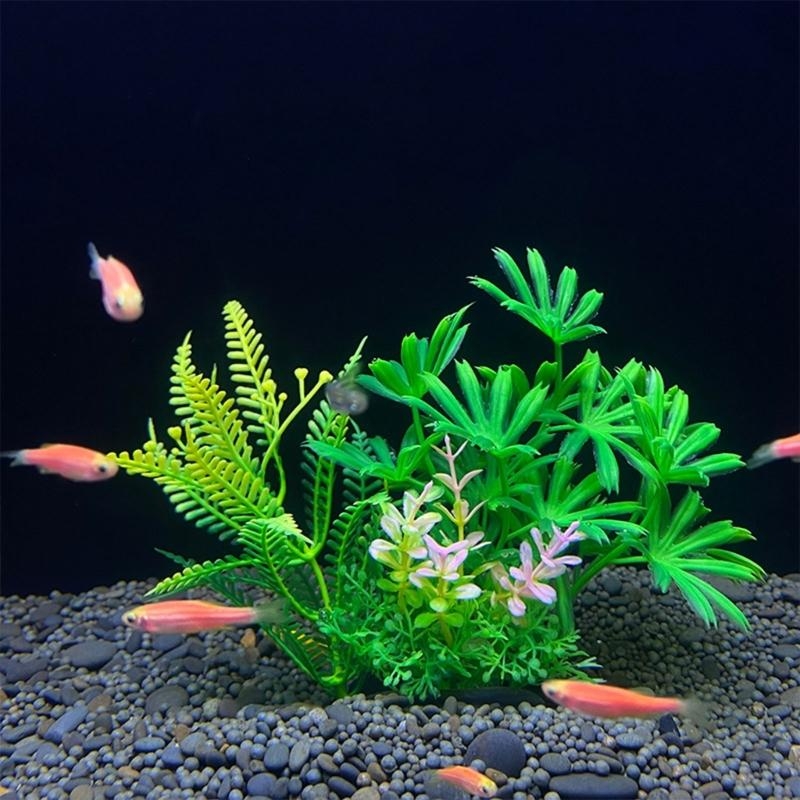 Decoración de acuario Artifici - Aquarium Fish Sale reseña y precio