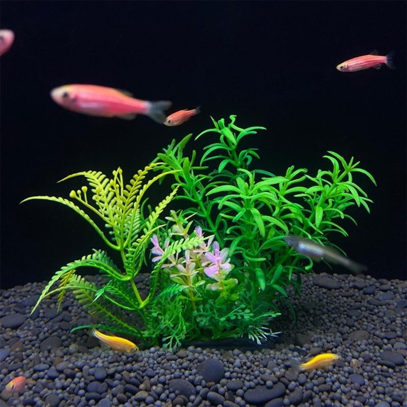 Decoración de acuario Artifici - Aquarium Fish Sale reseña y precio