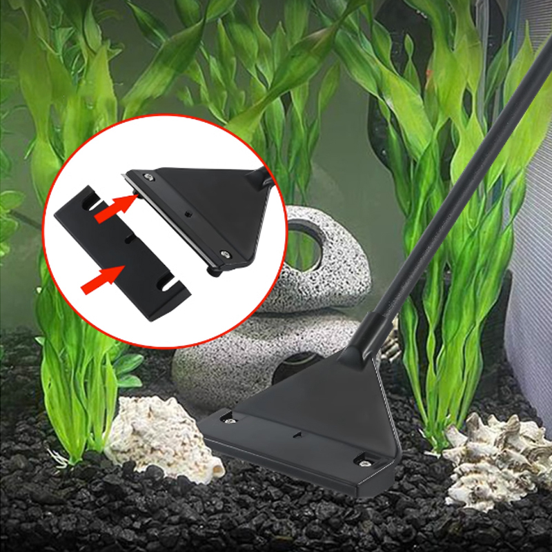 Raspador de Acero Inoxidable p - Algae Scraper Blade reseña y precio