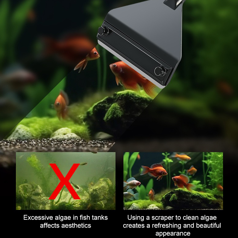 Removedor de algas para acuari - Algae Scraper Blade reseña y precio