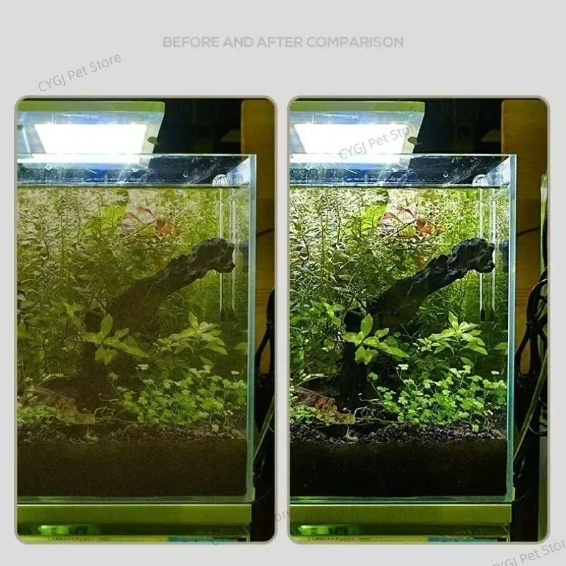 Herramienta de limpieza de pec - Algae Scraper Blade reseña y precio