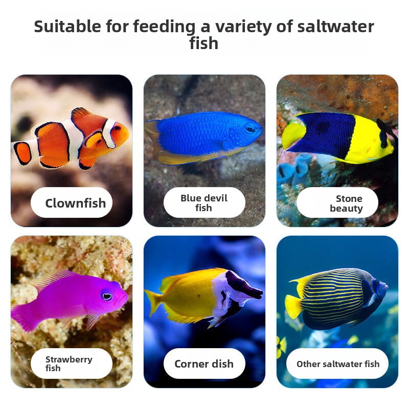 DEERA Pez payaso y comida Tang - All Fish In Aquarium reseña y precio