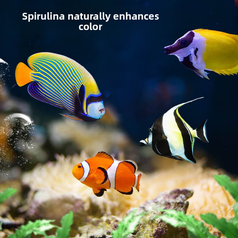 DEERA Pez payaso y comida Tang - All Fish In Aquarium reseña y precio