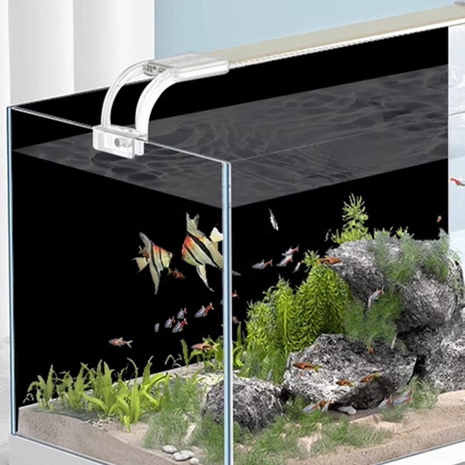 Pegatina de Fondo para Acuario - Aquarium Fish Wallpaper reseña y precio