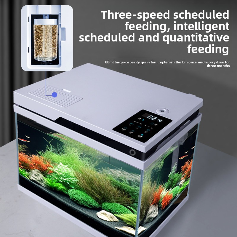 Acuario de Vidrio Transparente - All Fish In Aquarium reseña y precio