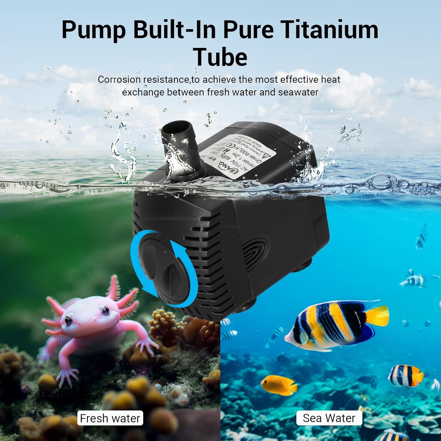 Enfriador de Acuario de 79 Gal - All Fish In Aquarium reseña y precio