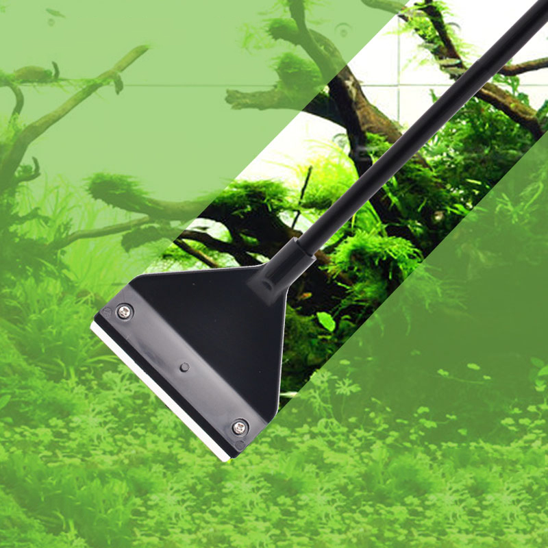 Removedor de algas para acuari - Algae Scraper Blade reseña y precio