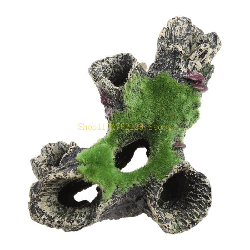 Peces para decoración tanques, - Aquarium Fish Sale reseña y precio