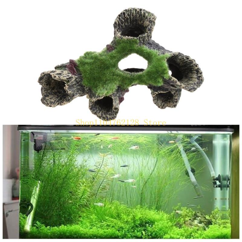 Peces para decoración tanques, - Aquarium Fish Sale reseña y precio