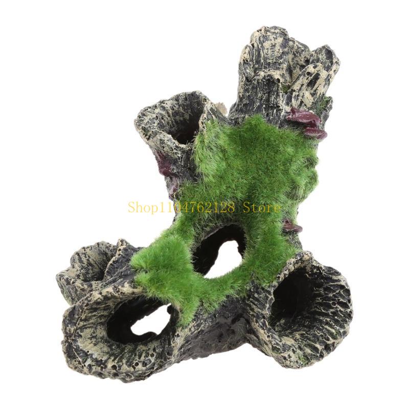Peces para decoración tanques, - Aquarium Fish Sale reseña y precio