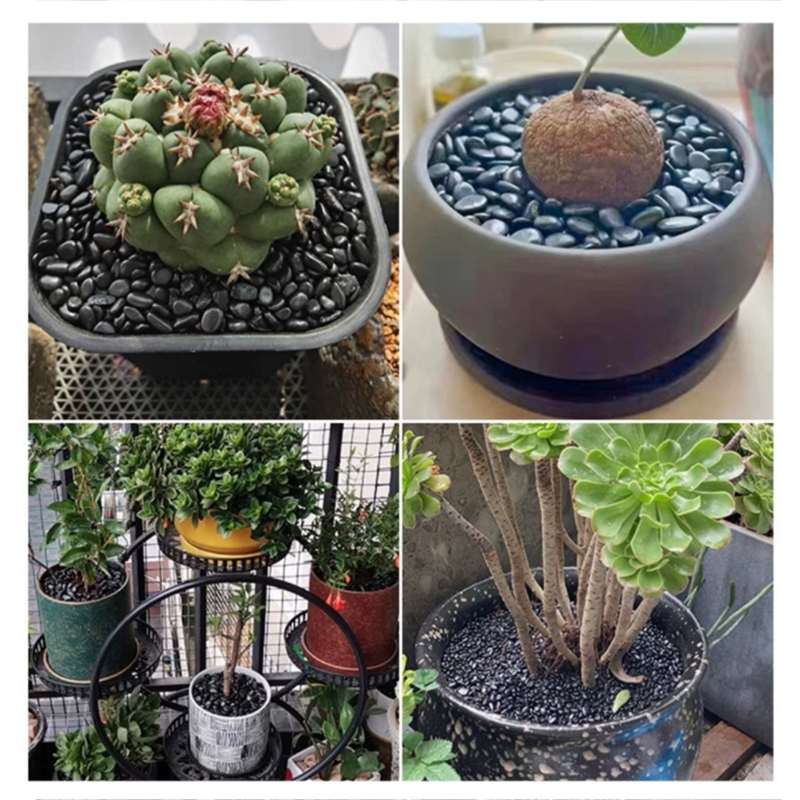 Piedras de río pulidas blancas - Aquarium Fish Store reseña y precio