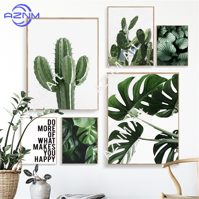 Póster de Monstera con diseño  - Live Plant Fertilizer reseña y precio
