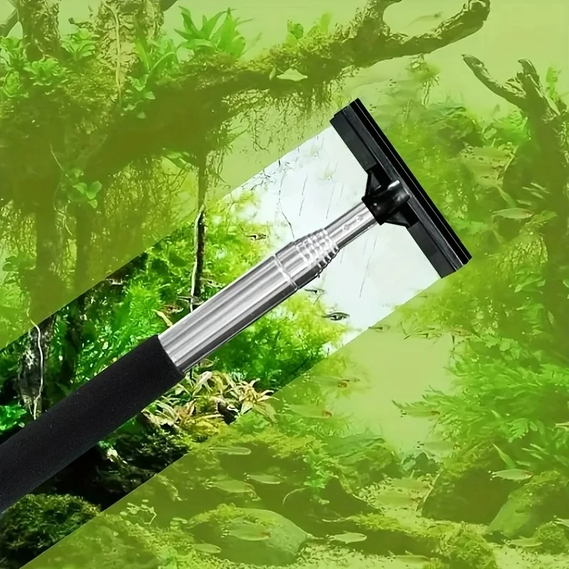 Cepillo raspador telescópico p - Algae Scraper Blade reseña y precio