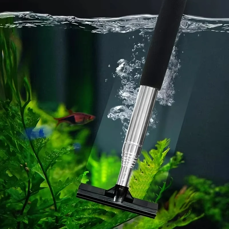 Cepillo raspador telescópico p - Algae Scraper Blade reseña y precio