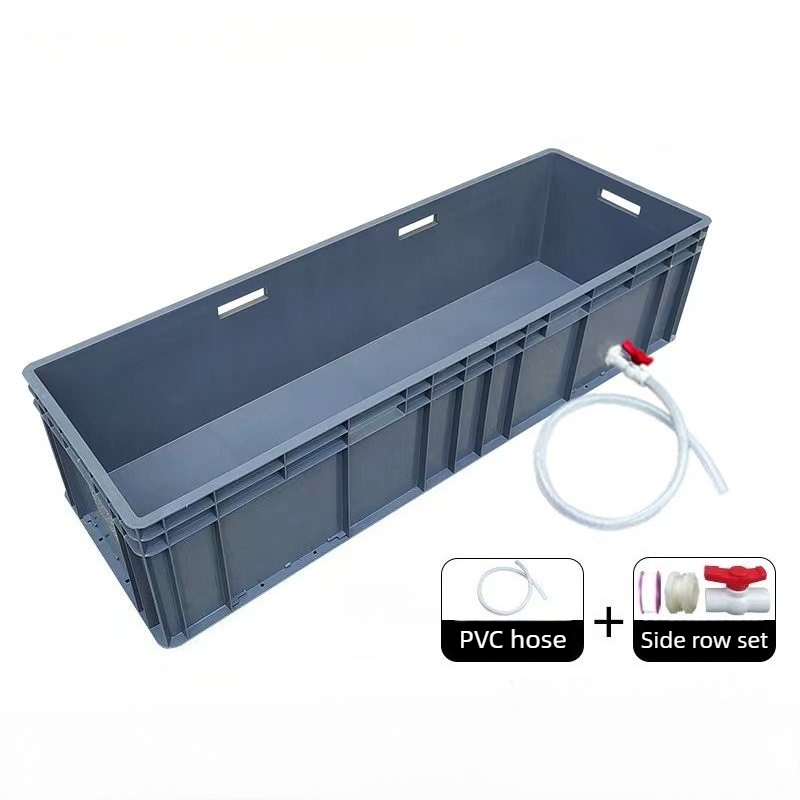 Terrario Espacioso para Tortug - Box Fish In Aquarium reseña y precio