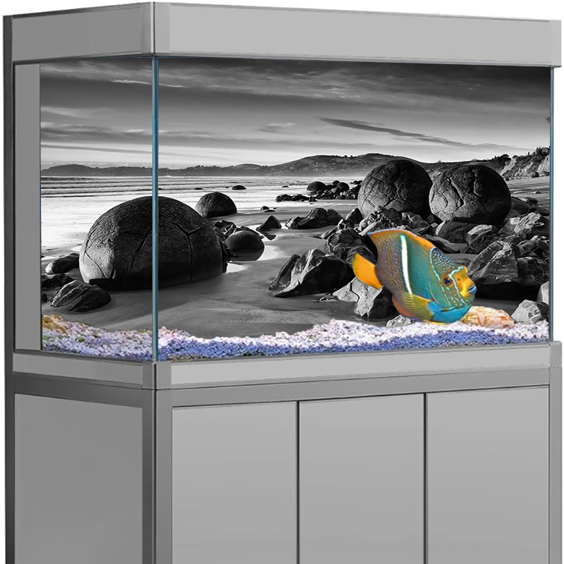 Pegatina de fondo de acuario,  - Aquarium Fish Wallpaper reseña y precio