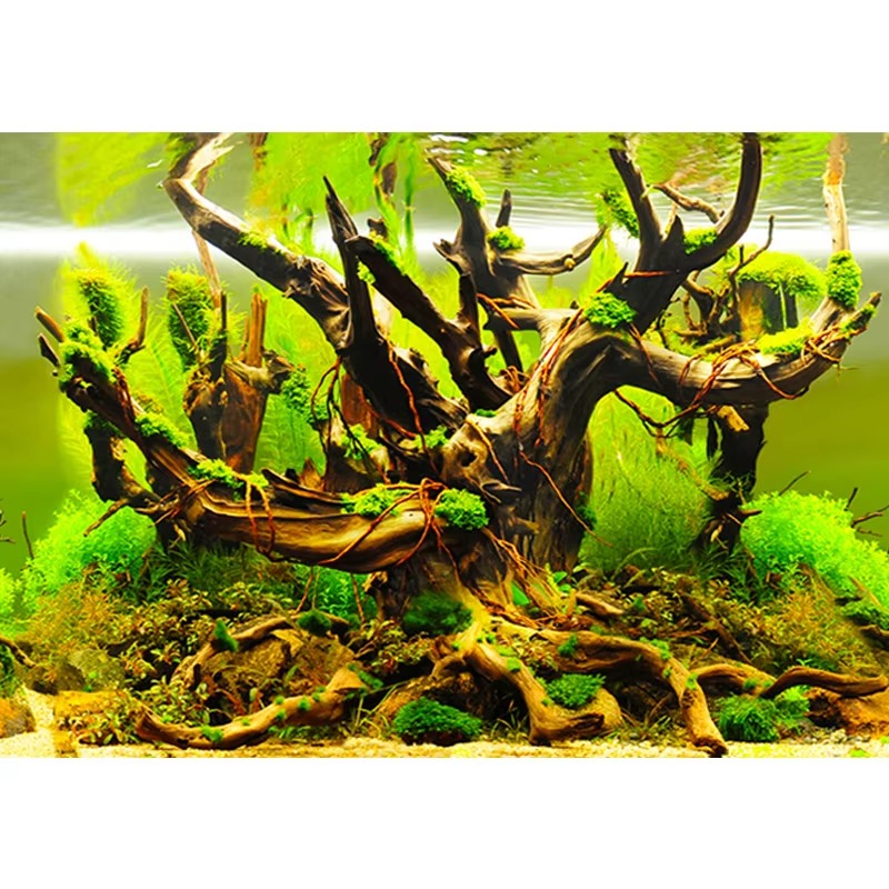 Corales artificiales para acua - Aquarium Fish Wallpaper reseña y precio