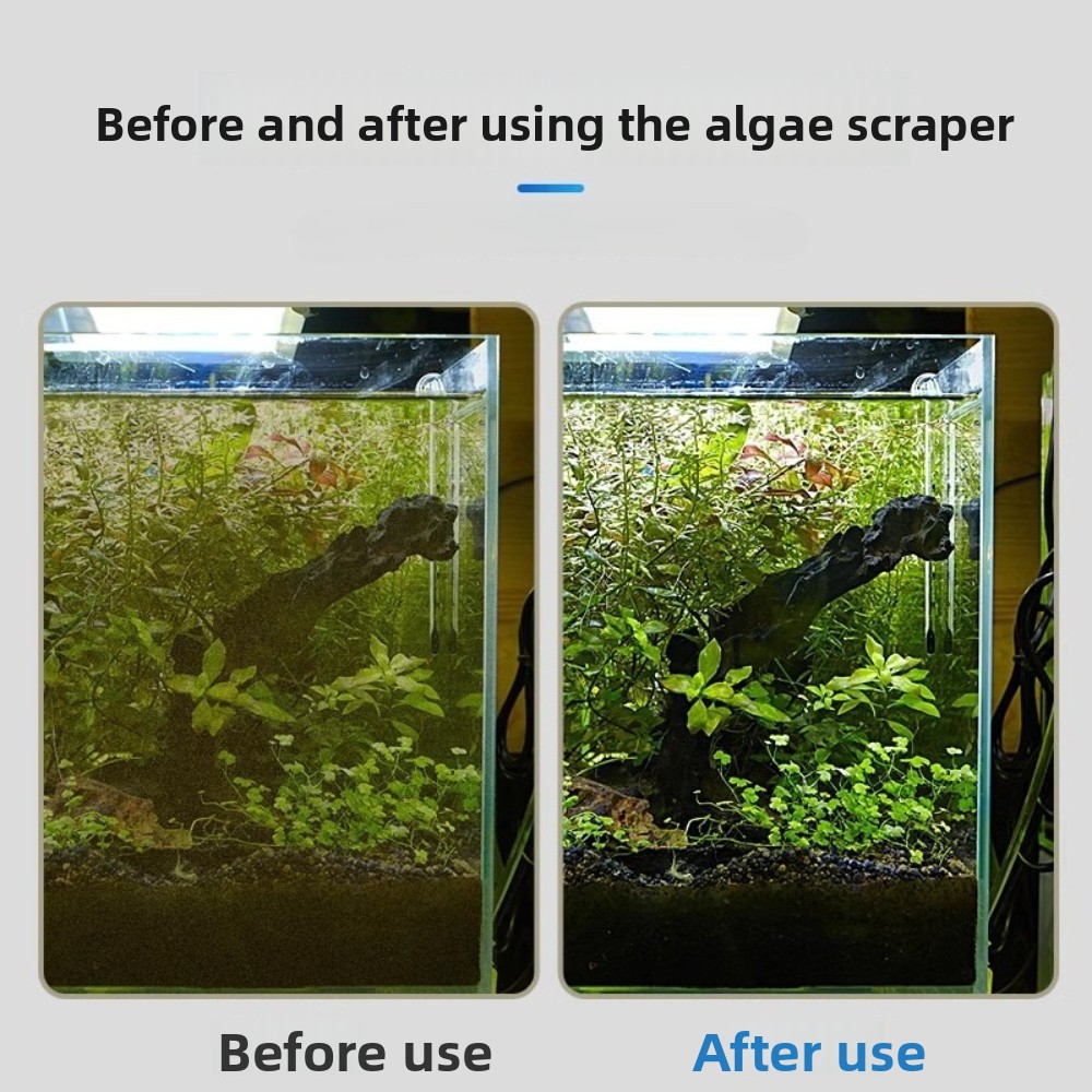 Raspador de algas para acuario - Algae Scraper Blade reseña y precio