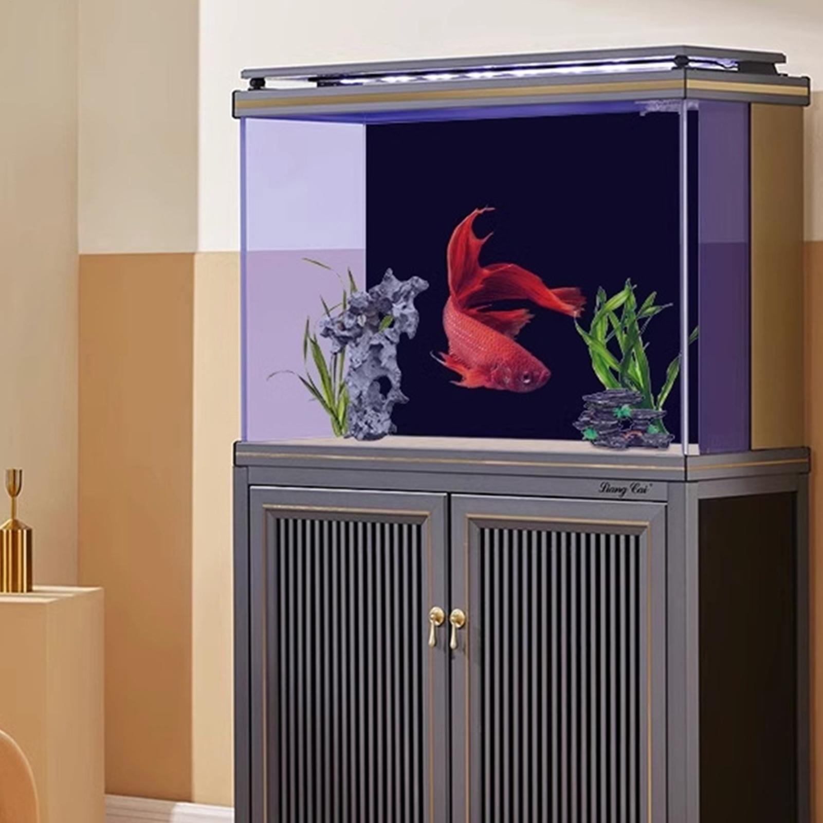 Fondo de Acuario Negro, Papel  - Aquarium Fish Wallpaper reseña y precio