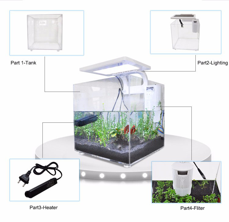 Mini Acuario de Acrílico (25*2 - Aquarium Fish Sale reseña y precio