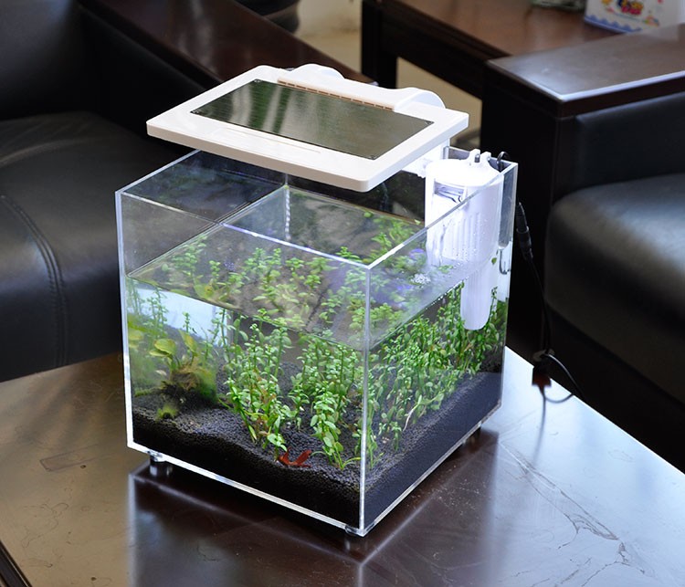 Mini Acuario de Acrílico (25*2 - Aquarium Fish Sale reseña y precio