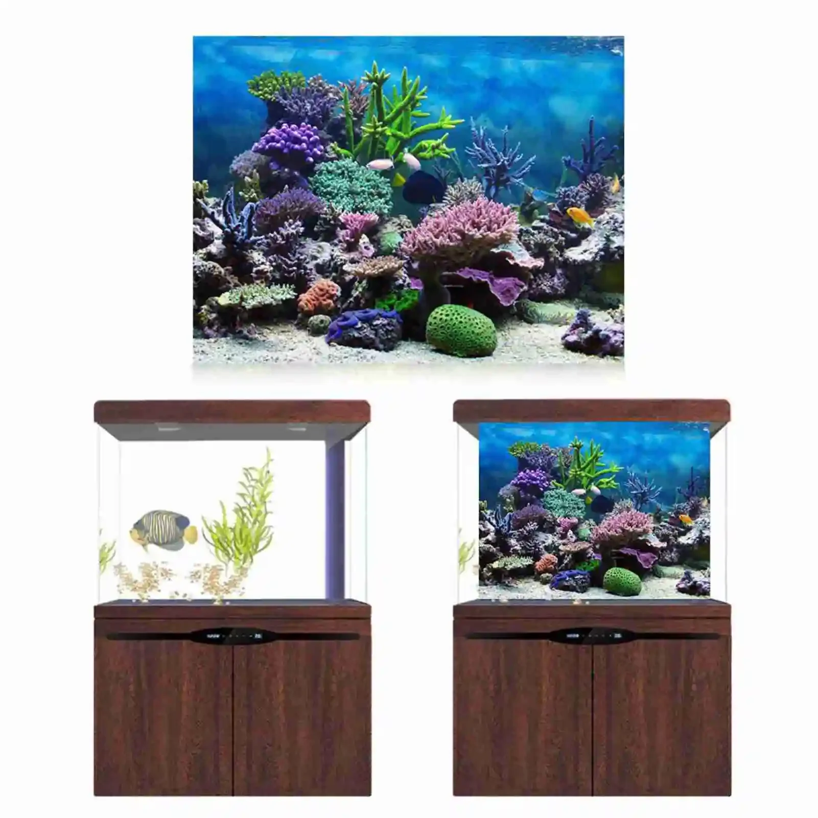 Póster de paisaje de acuario 3 - Aquarium Fish Wallpaper reseña y precio
