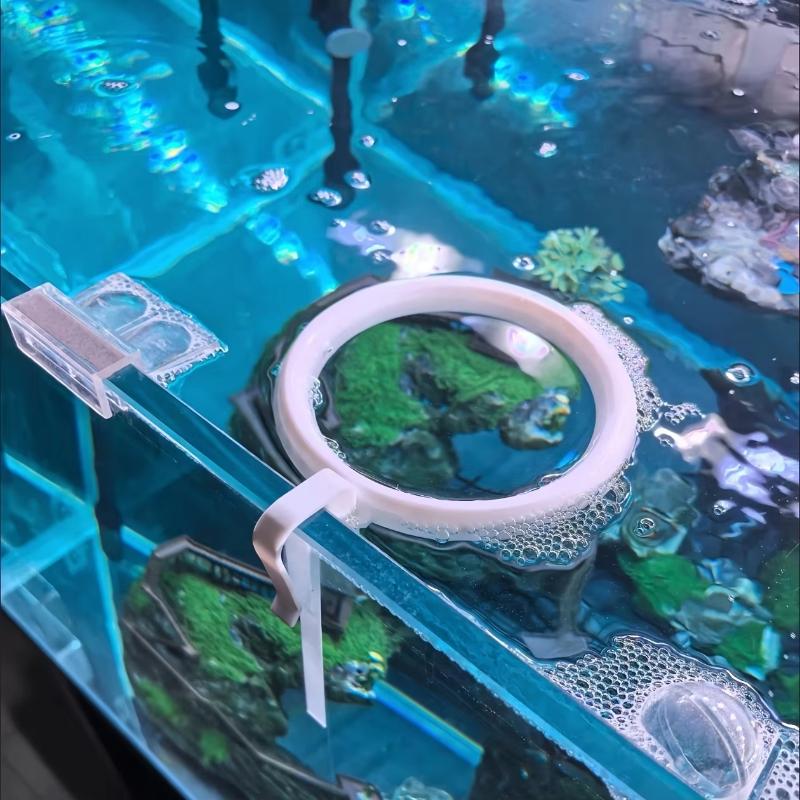Anillo Alimentador Flotante An - All Fish In Aquarium reseña y precio