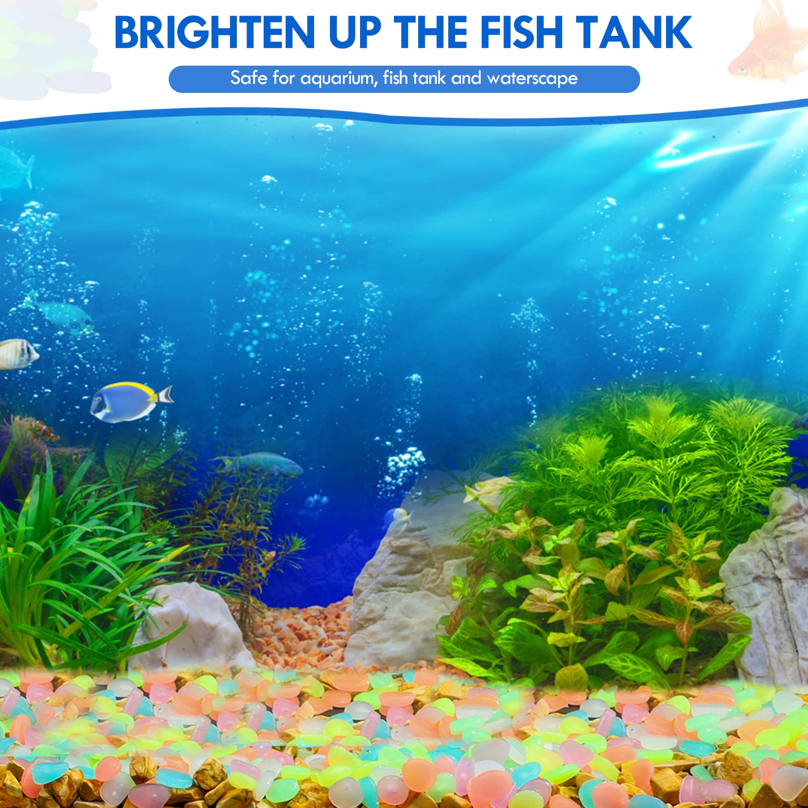 100 Uds. De guijarros que bril - Aquarium Fish Store reseña y precio